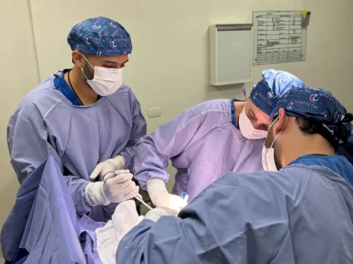 Diseño sin título (12)